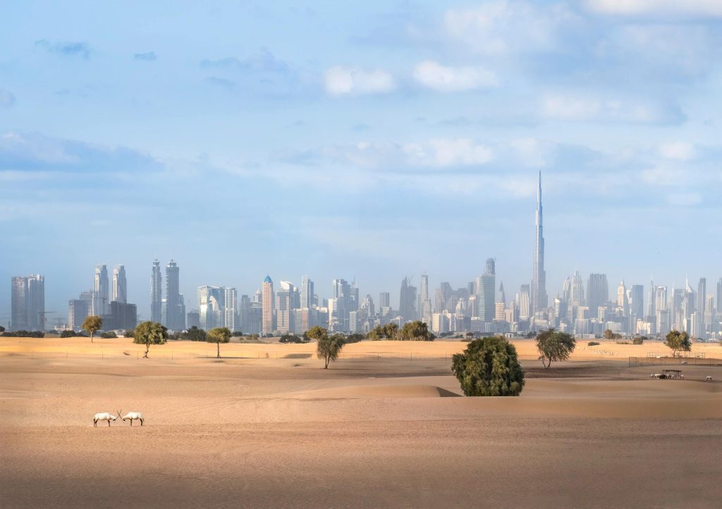 Is Dubai just a stopover, or a place to build something meaningful